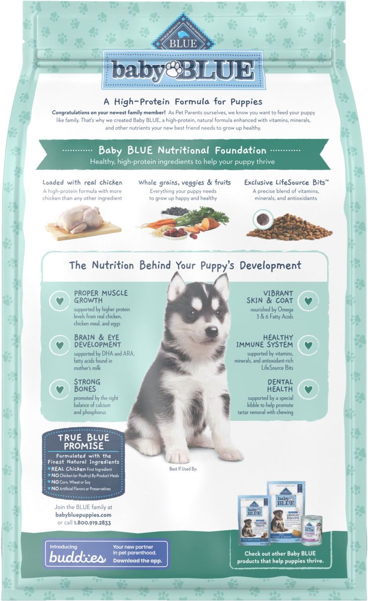 Blue Buffalo High Protein Puppy Chicken Dry Dog Food