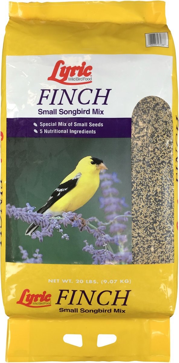 Lyric Finch Small Songbird Mix Wild Bird Food