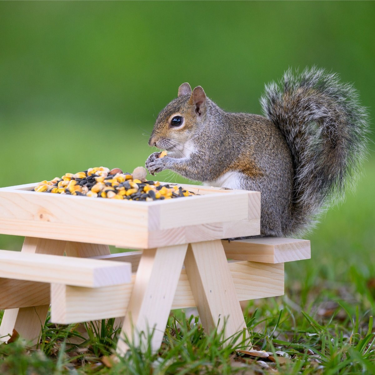 Audubon Park Critter Crunch Wild Bird Food