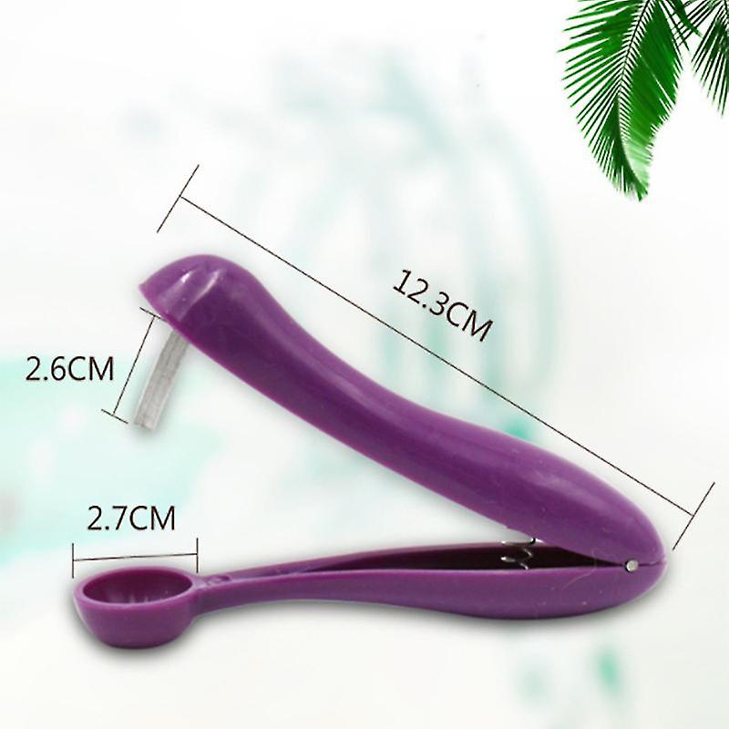 Cherry Pitter Tool Portable Kitchen Tool(2pcs)