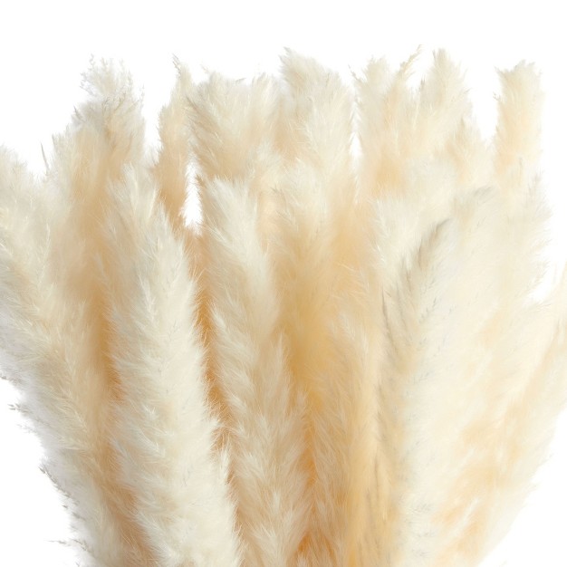 Juvale 30 Pack Dried White Pampas Grass For Vase Wedding Rustic style Farmhouse Decor Boho themed Home Decor 17 In