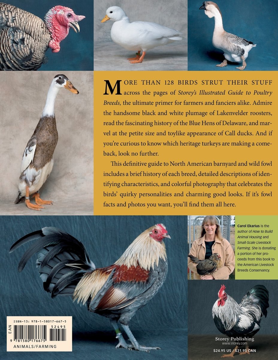 Storey's Illustrated Guide to Poultry Breeds