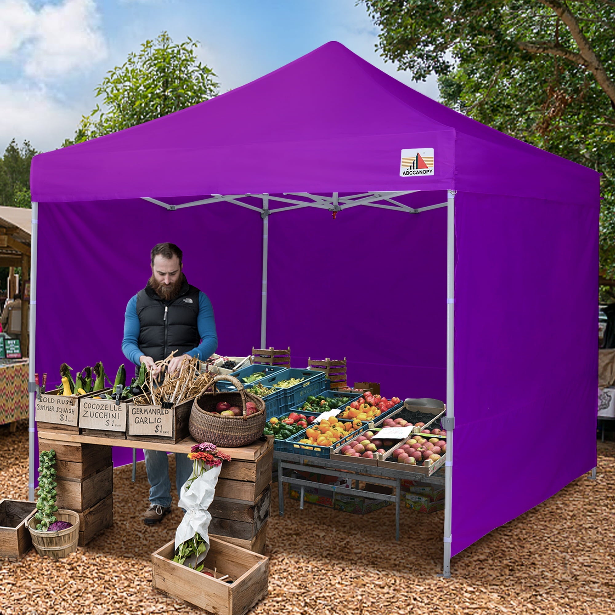 ABCCANOPY 10 ft x 10 ft Metal Pop-Up Commercial Canopy Tent with walls, Purple