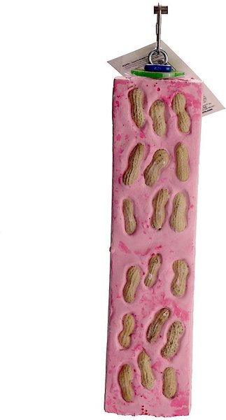 Polly's Pet Products Nutty Log Cactus Snack Bird Chew Toy