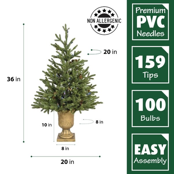 Fraser Hill Farm 3.0' Noble Fir Potted Tree