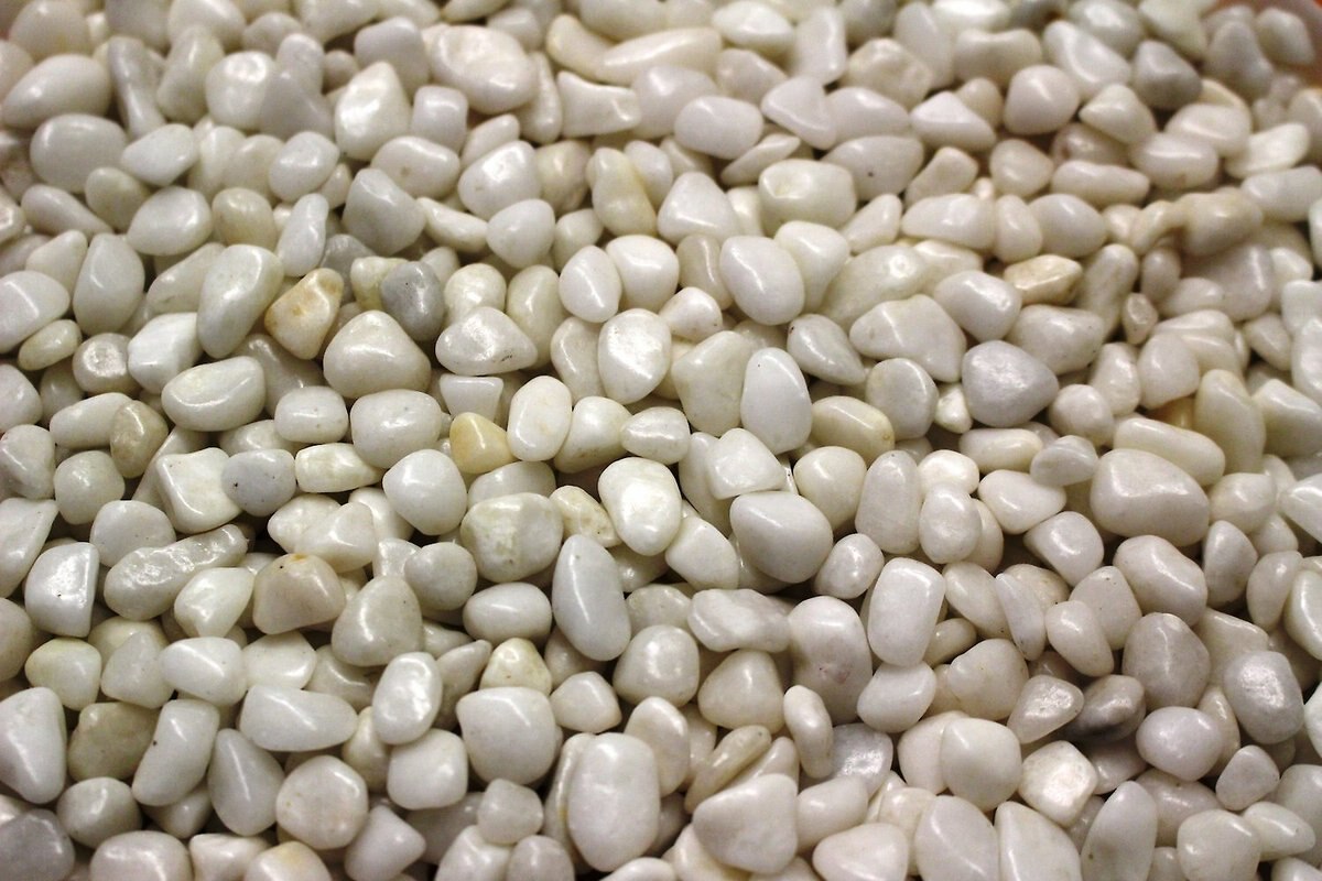 Exotic Pebbles Polished Snow White Reptile and Terrarium Gravel