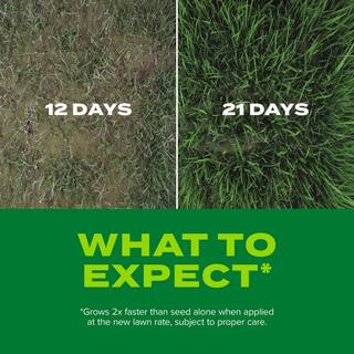 Scotts Turf Builder 16 lbs. Rapid Grass Sun  Shade Mix Combination Seed and Fertilizer Grows Green Grass in Just Weeks 18216-1