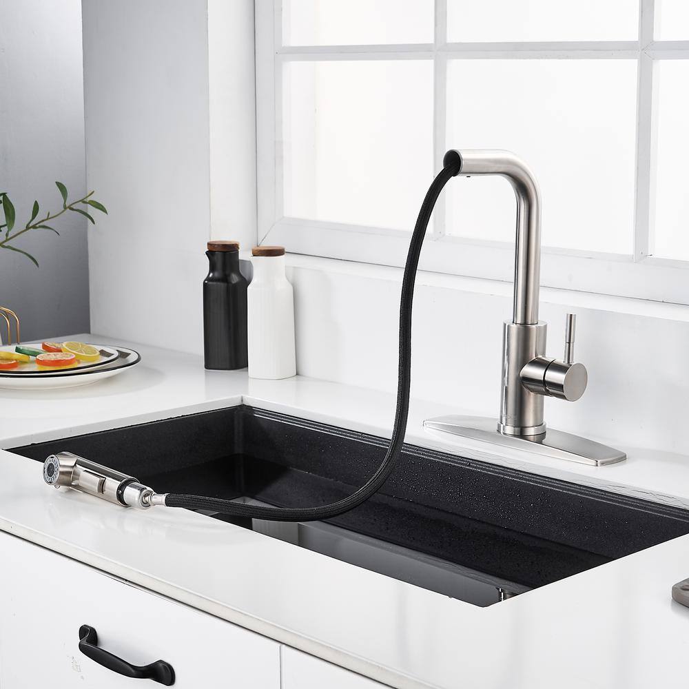 FORIOUS Single-Handle Kitchen Sink Faucet with Pull Down Sprayer Kitchen Faucet in Black HH0025B