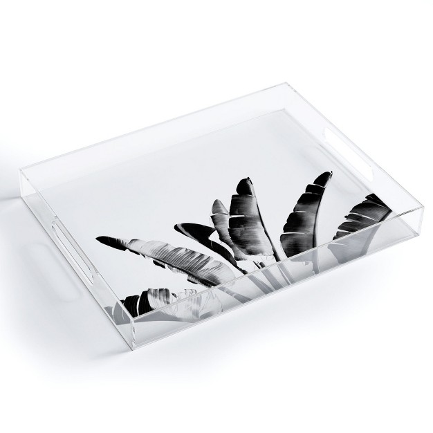 Gale Switzer Traveler Palm Bw Acrylic Tray Deny Designs