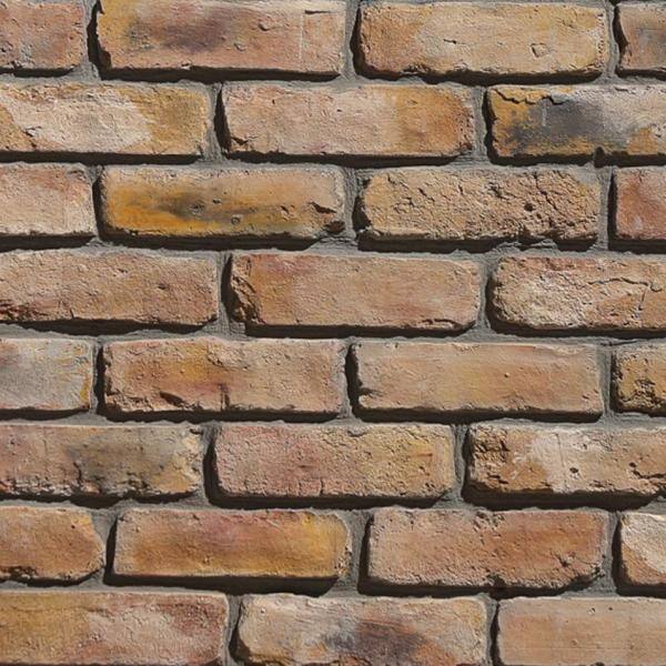 Koni Brick Old Chicago Buff 8.20 in. x 2.50 in. Thin Brick 10.76 sq. ft. Flats Manufactured Stone Siding KBFT-207BFF