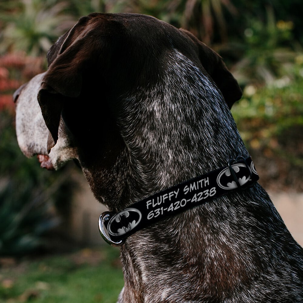 Buckle-Down DC Comics Batman Shield Personalized Dog Collar