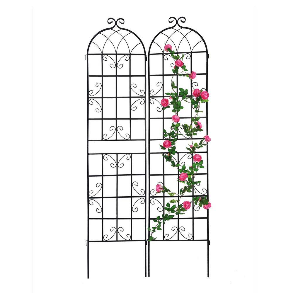 Zeus  Ruta 86 .7 in. Black 2-Pack Metal Garden Trellis for Climbing Plants Outdoor BCFG-126