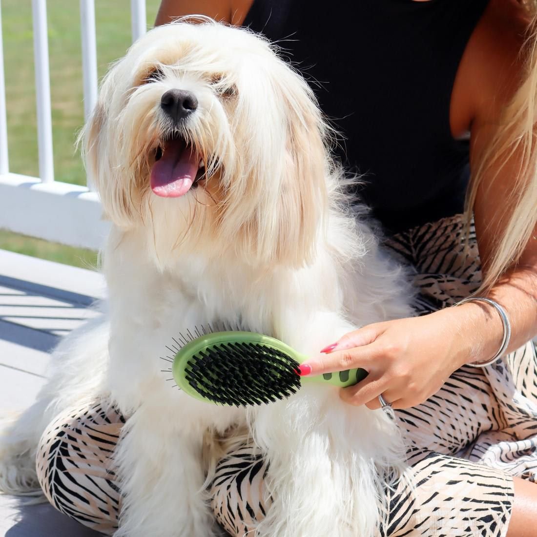 Safari Combo Brush for Dogs