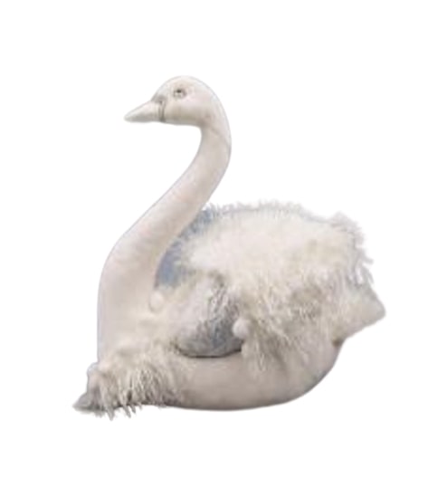 10 White Swan