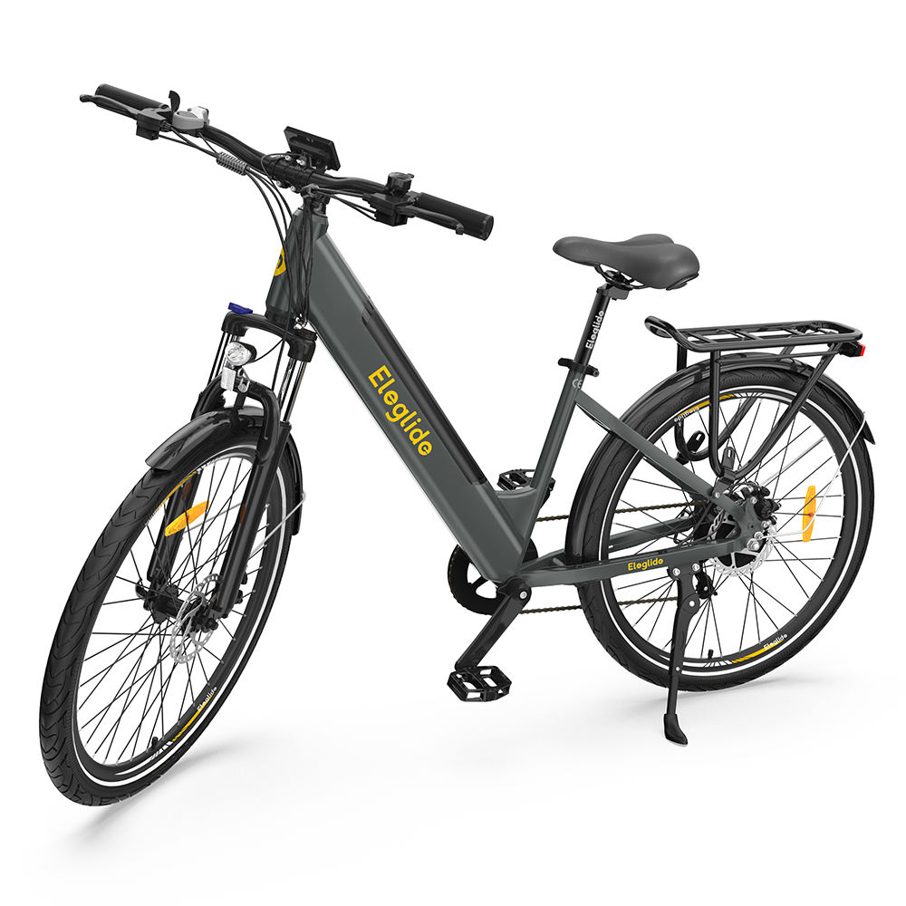 Chinese Manufacturer Trekking E Bike Step Through E Bike E Cycle Electric Bike