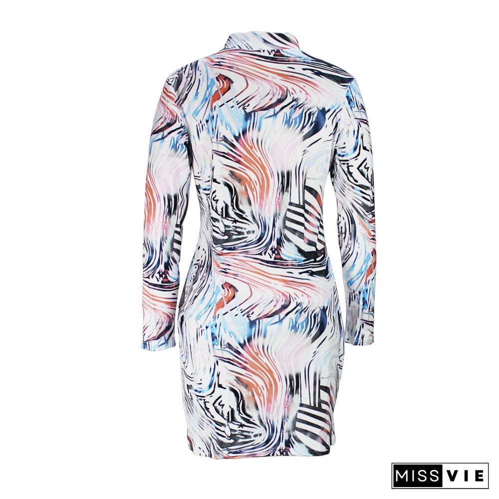 Abstract print Long Sleeve O Neck Pencil Dress