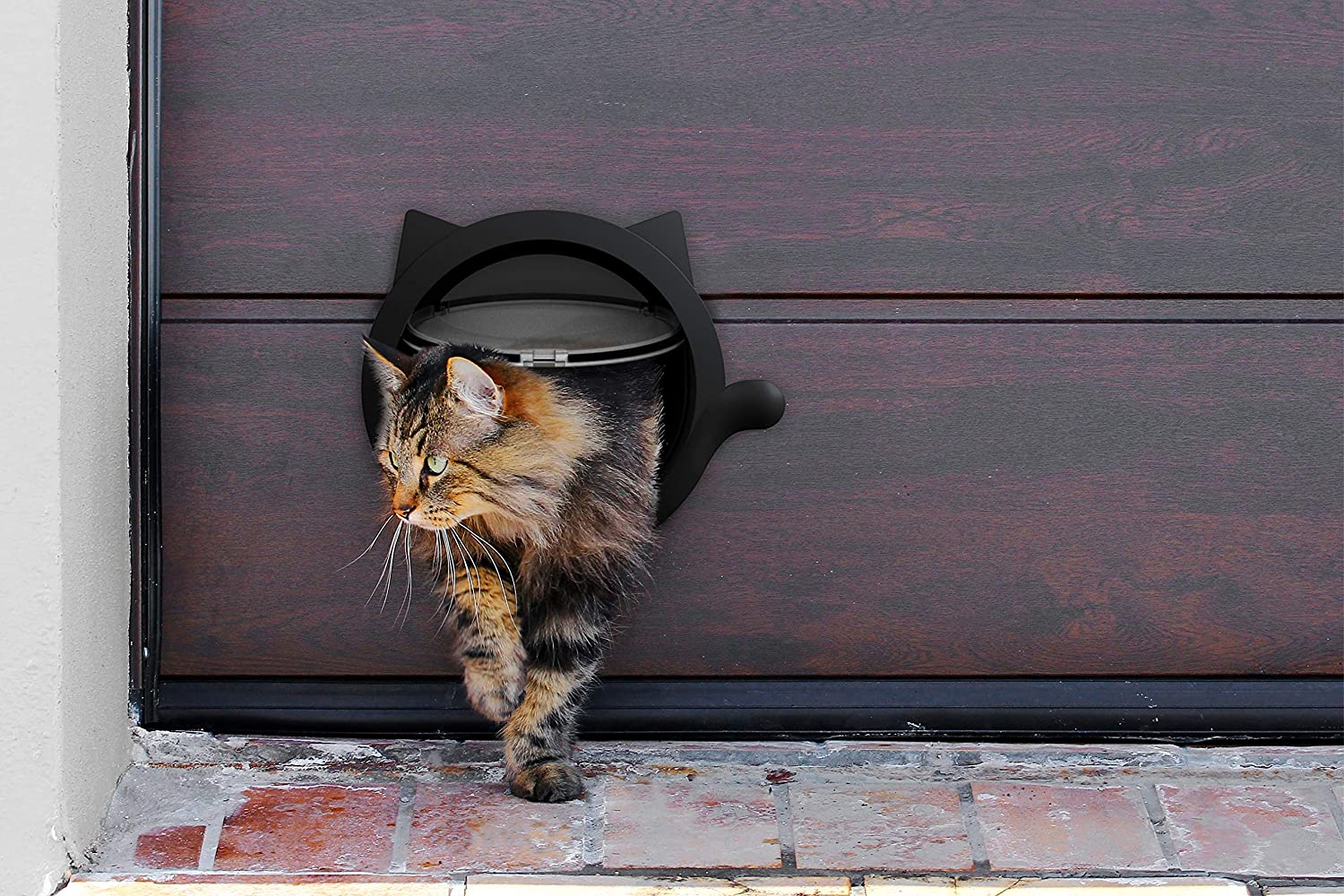 Cat Door for Pets – 4 Way Locking Cat Flap - for Interior Doors and Exterior Doors-Black