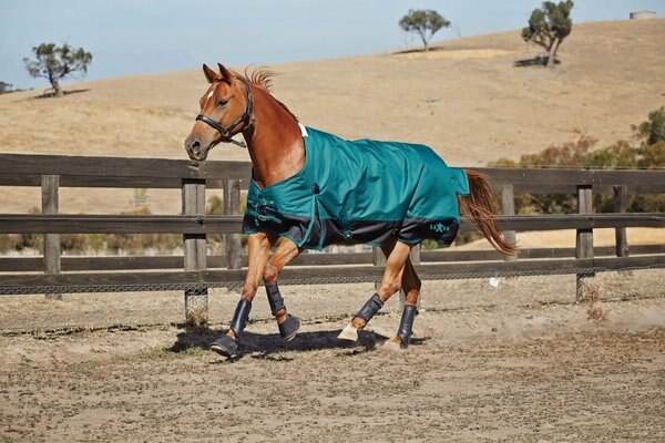 Saxon 1200D With Gusset Standard Neck Medium II Horse Blanket