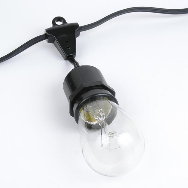 Novelty Lights Edison Outdoor String Lights With 25 Suspended Sockets Black Wire 37 5 Feet