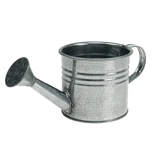 Luxury Watering Can Galvanized Simple Metal Water Can creative vintage water cane garden logo print watering can