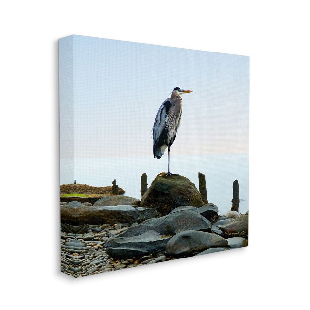 Stupell Industries Beach Heron Bird Ocean Animal Photograph