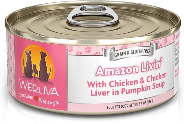 Weruva Amazon Livin' with Chicken and Chicken Liver in Pumpkin Soup Grain-Free Canned Dog Food