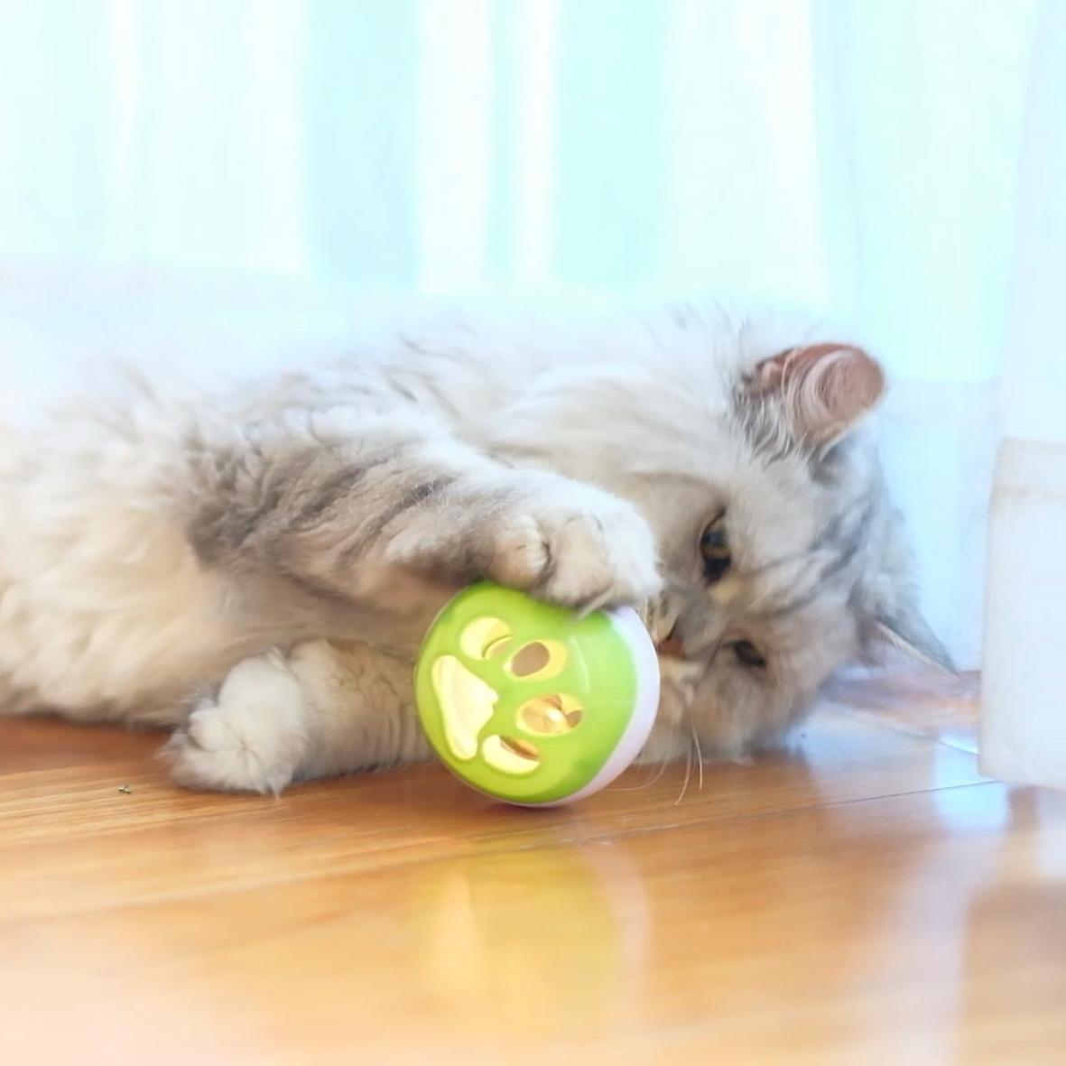 Hollow Ball Inside Bell Cat Toy