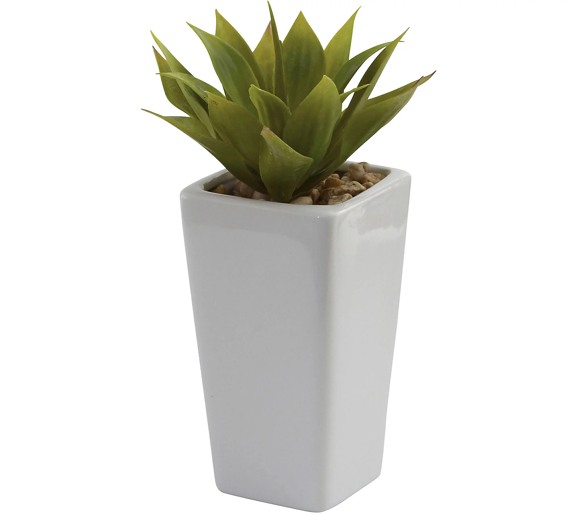 Set of 3 Mini Agave Plants by Nearly Natural