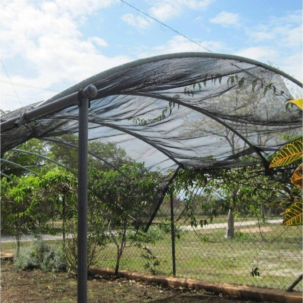 Agfabric Shade Cut Edge Black