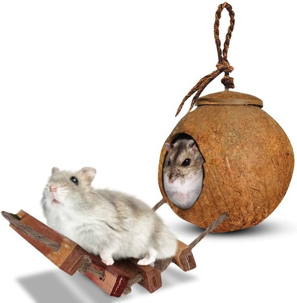 SunGrow Hamster and Gerbil Coconut Hut with Ladder Hideout Accessory Small Animal House， 5-in