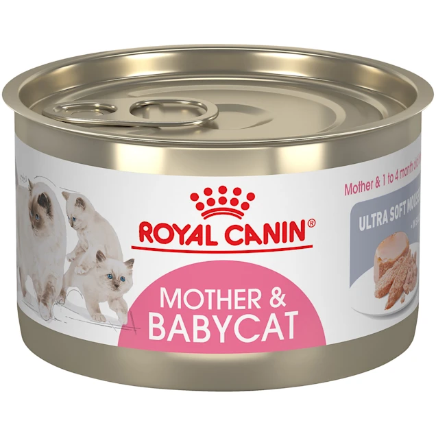 Royal Canin Feline Health Nutrition Mother and Babycat Ultra Soft Mousse in Sauce Canned Cat Food， 5.1 oz.， Case of 24