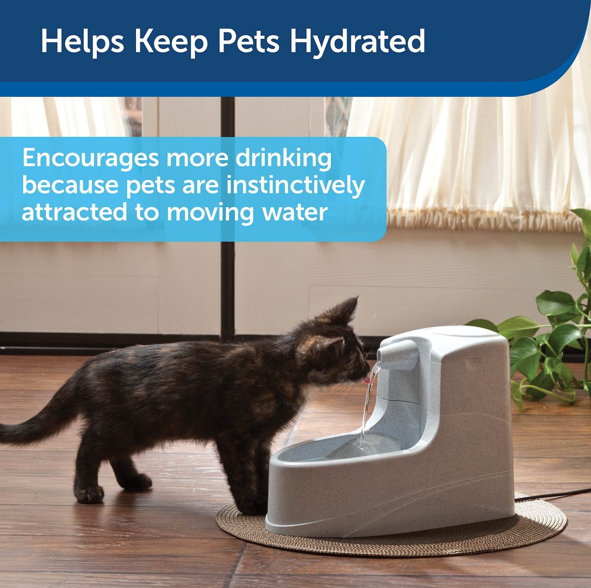 PetSafe Drinkwell Mini Plastic Dog and Cat Fountain