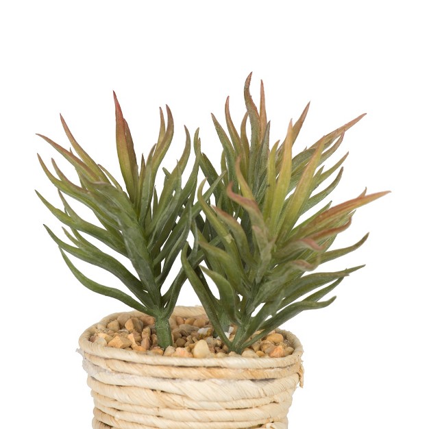 Artificial Potted Succulent Cactus Plants.