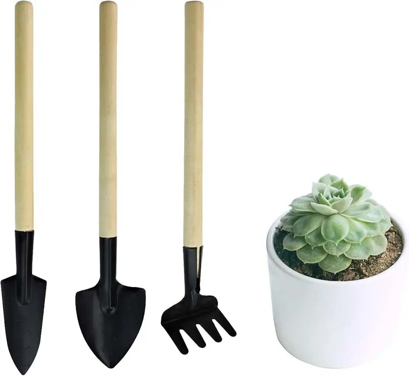 In Stock Minin Succulent Plant Garden Tool Sets