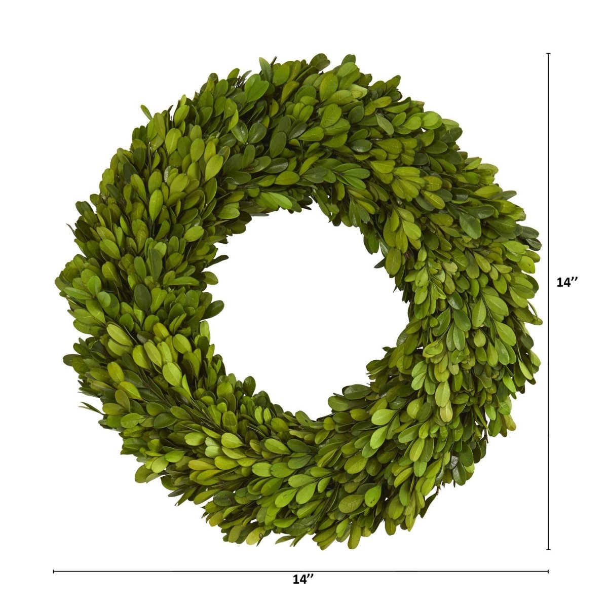 14” Preserved Boxwood Wreath – Elegant Year-Round Greenery