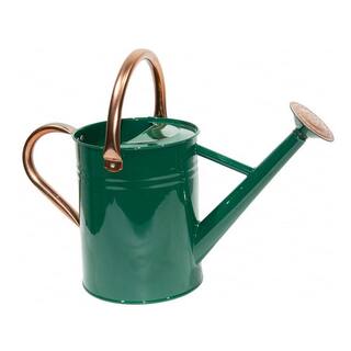 Dyiom 1 gal. Outdoor Steel Watering Can Sliver Galvanized Steel Green Watering Can with Copper Accents B07VX1RZZL