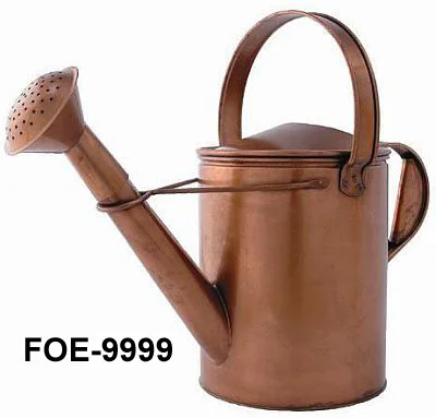 Simple Style Sturdy Large Capacity Stainless Steel Plant Metal Watering Can For Outdoors Garden