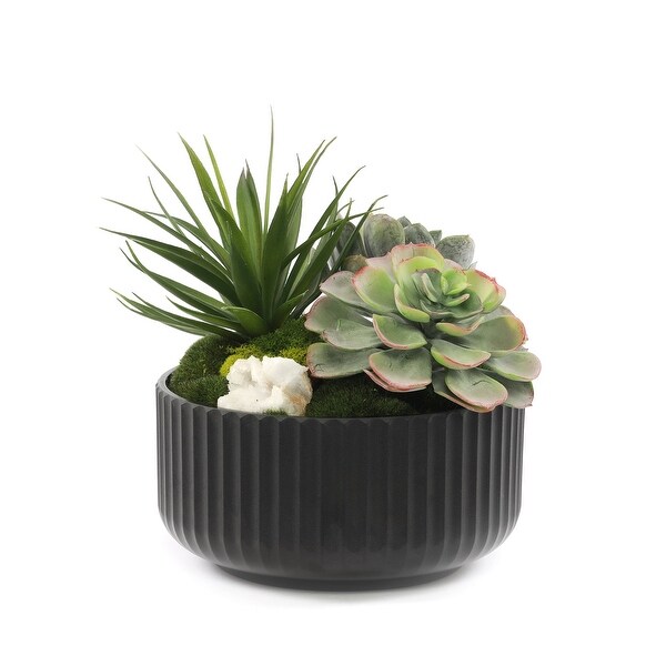 Faux Succulents and Moss Arrangement in Ribbed Black Pot