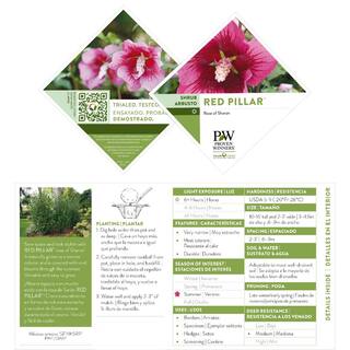 PROVEN WINNERS 2 Gal. Red Pillar Rose of Sharon (Hibiscus) Shrub with Dark Pink Flowers with Red Centers 17624