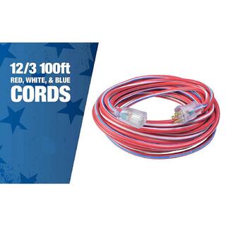 Southwire 100 ft. 123 SJTW USA Outdoor Heavy-Duty Extension Cord with Power Light Plug 2549SWUSA1