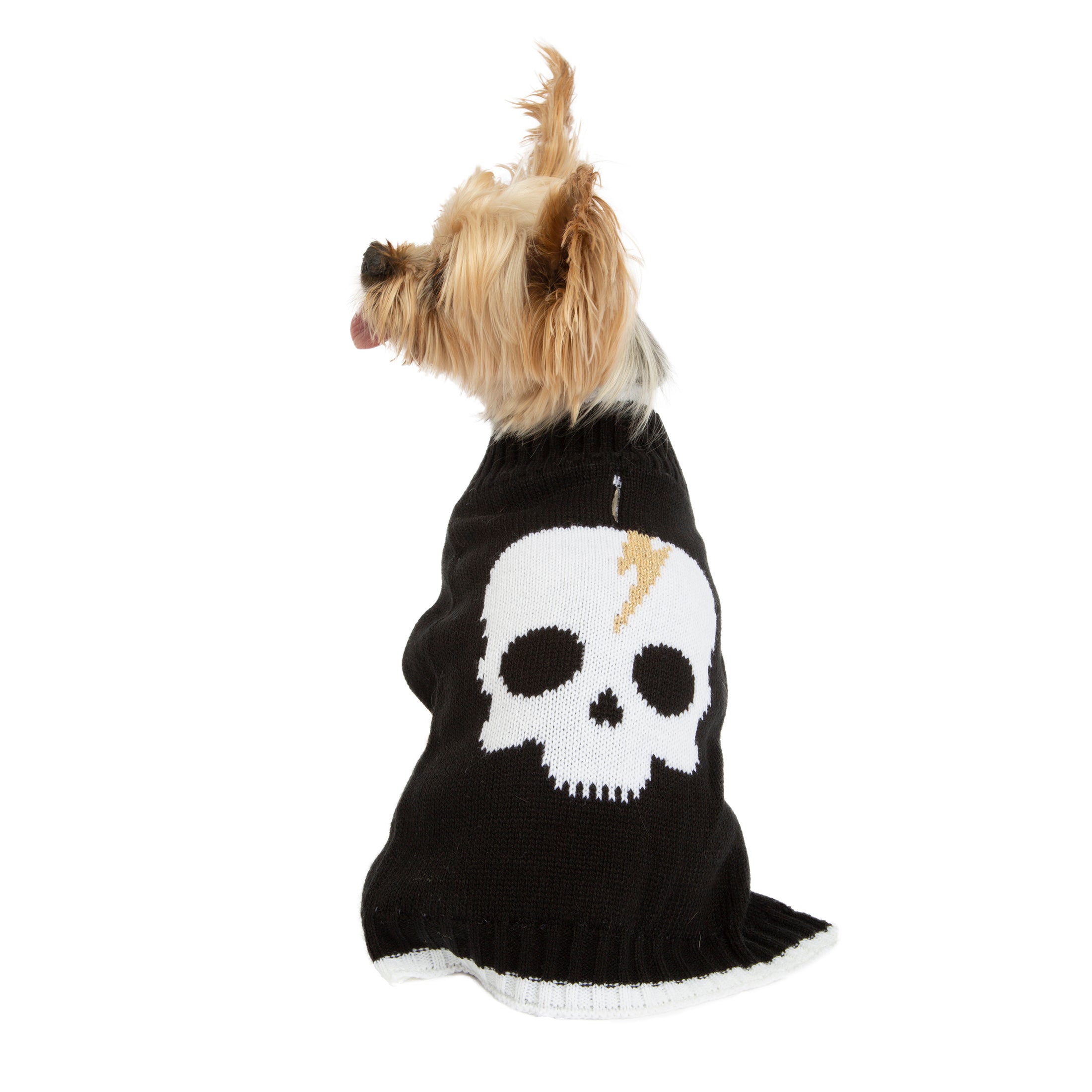 Vibrant Life Halloween Dog Clothes， Skull Halloween Sweater， for Dogs or Cats， Size XXS