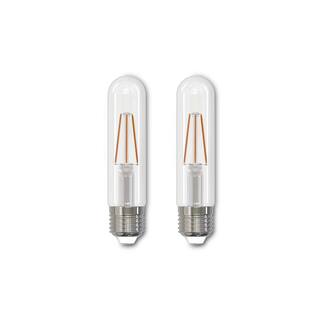 Bulbrite 40-Watt Equivalent T9 Clear Dimmable Edison LED Light Bulb Warm White (2-Pack) 861575