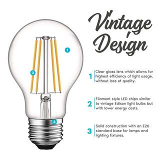 LUXRITE 60-Watt Equivalent A19 Dimmable Edison LED Light Bulbs UL Listed 3000K Soft White (6-Pack) LR21613-6PK