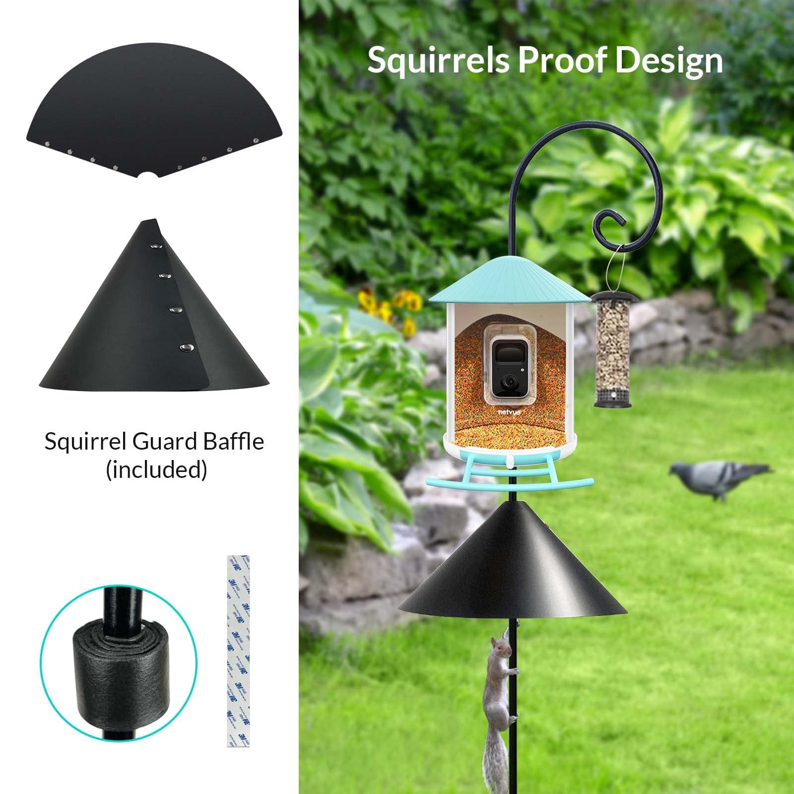 Bird Feeder with Camera， Netvue Birdfy Smart Bird Feeder with Phone App AI Identify Bird Species Night Vision for Bird Watching， Gift Ideas for Moms， Hopper Feeder， Blue (Birdfy AI+Solar)