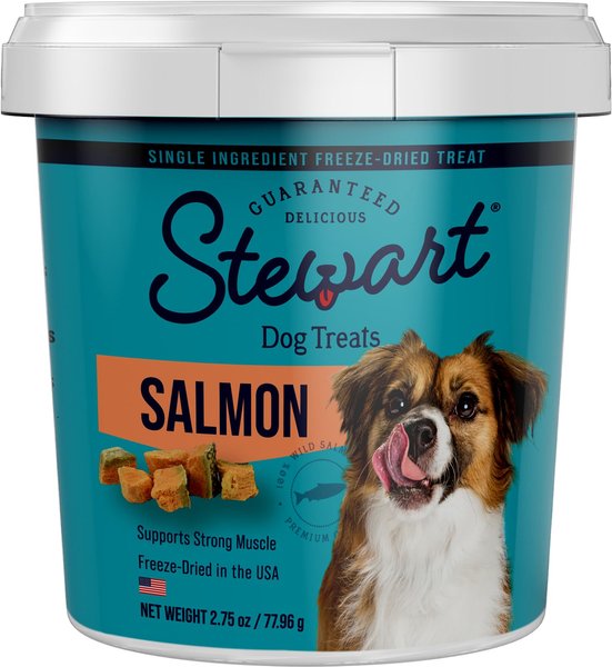 Stewart Wild Salmon Freeze-Dried Dog Treats