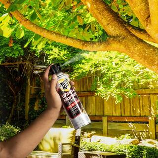 Real-Kill 15 oz. Wasp and Hornet Insect Killer Aerosol Spray HG-95949-1