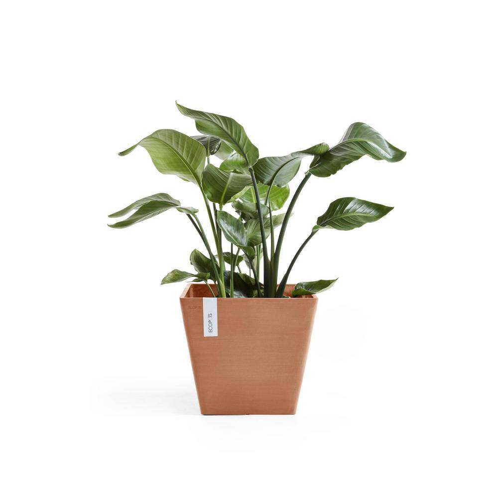 O ECOPOTS BY TPC Rotterdam 10 in. Terracota Premium Sustainable Planter ( with Reservoir) ROTWR.25.TR