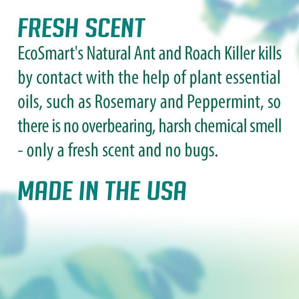 EcoSmart 14 oz. Natural Ant and Roach Killer with Plant-Based Rosemary Oil and Peppermint Oil Aerosol Spray Can (2-Pack) ECSM-33520-01EC