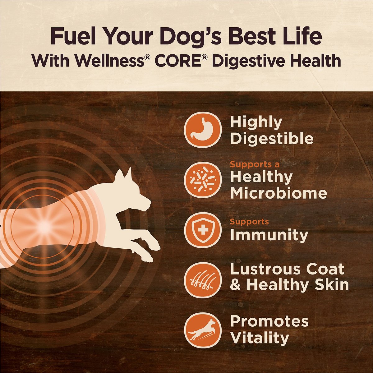 Wellness CORE Digestive Health Wholesome Grains Chicken and Brown Rice Recipe Dry Dog Food