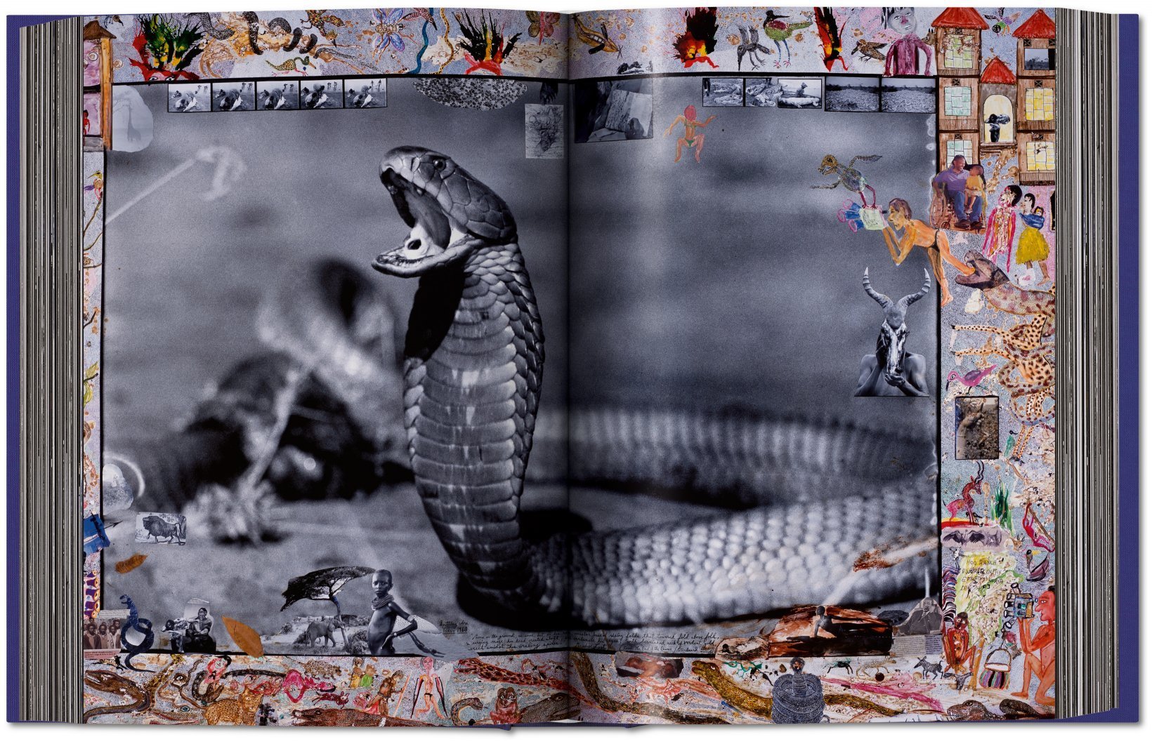 Peter Beard